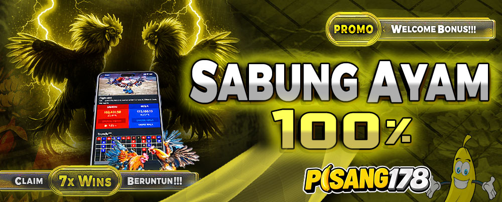 SABUNG AYAM 100%